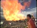 ALL - Life On The Road (Live @ Warped Tour)