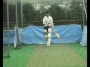 Rich harland nets