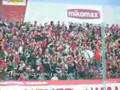 TH BEST DZICZ WIDZEW LODZ's FANATICS