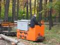 Feldbahn in der Wuhlheide