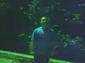 -VIDEO DIVERTENTI- e nel buio della notte...S�GGGEEEPPP���N!