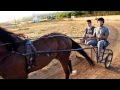 Video ansehen