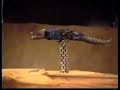 African Puppetry Series - Compagnie Julie, Niger African Puppetry Series - Compagnie Julie, Niger