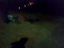 Drunk kid K.O's himself ridin at pirie