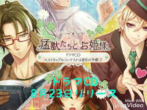動画