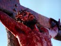jesus mi corazon te canta cbc concepcion