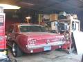 videos de 1967 Mustang rev