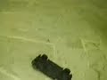 car bombs
