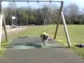 videos de Stunt Crew