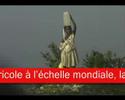 Objectifs du Mill�naire pour le d�veloppement..(1ere pa