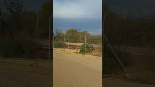 الشوكه التحتا الحدود البنانيه(دفنا)