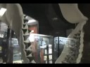 The Museum of Natural History