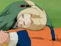 Tsunade-Animal-I-hav