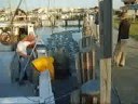 Americorp Maryland Conservation Corps