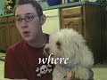 Singing With My Bichon