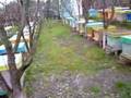 stupina mea