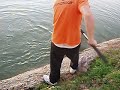 Fregeneboy Fregeneboy