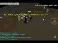 Runescape fight pits FOUR MAN BRAWL ADDITION!
