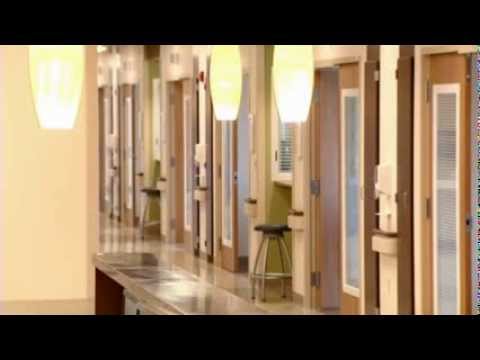 Sentara - Meet the president of Sentara and learn about the latest http://www.sentara.com/HospitalsFacilities/Hospitals/Leigh/Pages/leigh.aspx.