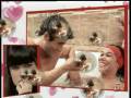 videos de MyHyV Efren y Soraya.