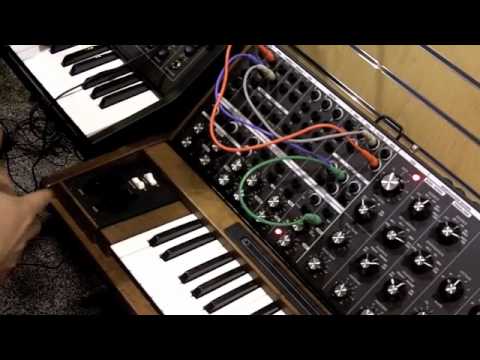 moog minimoog
