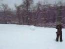 bird shot test on snow