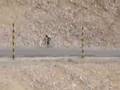 Muslim Nassar climbs the Mont Ventoux during the Ramadan