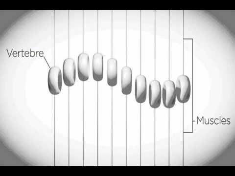 how to relieve physical tension