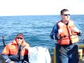 offshore dan the King