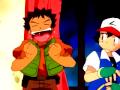 Pokemon,the,true