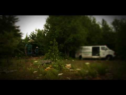 OK Cobra – “I Quit (I Give Up)” video