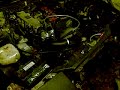 200sx s13 Blow- off HKS Style