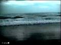 The waves