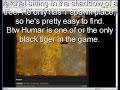World of warcraft : rare pets