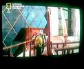 Arquitectura Sustentable