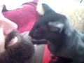 Cwtch eats EXTRA STRONG MINT
