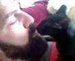 Cwtch eats EXTRA STRONG MINT