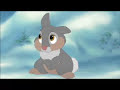 Thumper is a cuppycake. Thumper is a cuppycake.