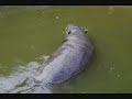 ZOO Ko?ice ZOO Ko?ice
