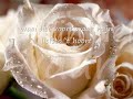 Westenwind Dana Winner en Piet Veerman