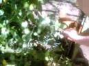 saler-la-soupe-supa-dish-remix.html
