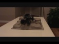 Losi Micro Rock Crawler