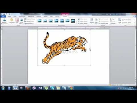 how to properly use the word affect