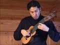 Federico Tarazona / Las abejas