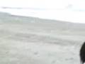 videos de ahora