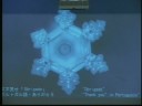 PALESTRA Masaru Emoto - Mensagem da água (Nova Consciência)