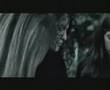 campanha-zoofilia