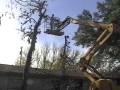 videos de Hackberry Tree 11.wmv
