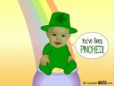 The Pattys Pinch