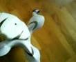 ROBOQUAD 5